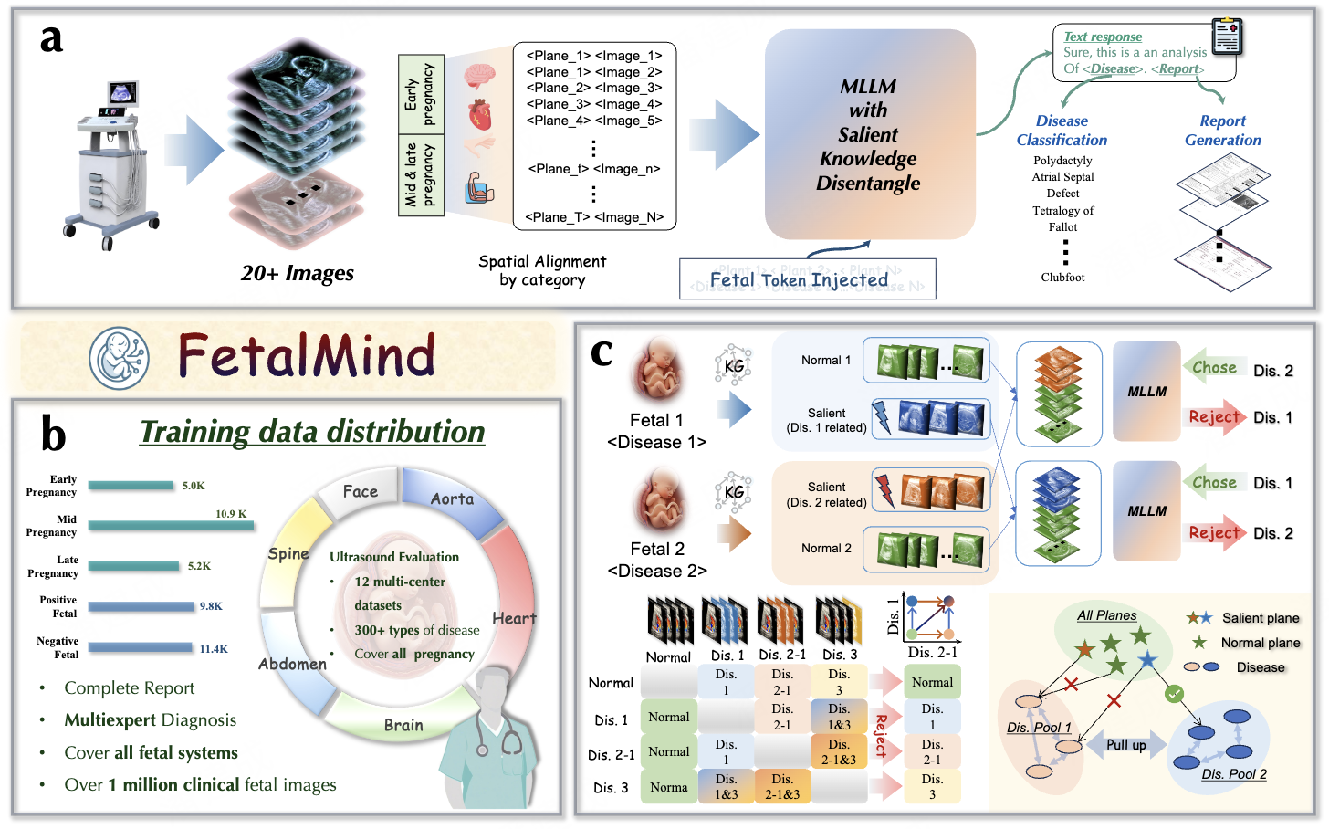 Epistemic-aware Vision–Language Foundation Model for Fetal Ultrasound Interpretation